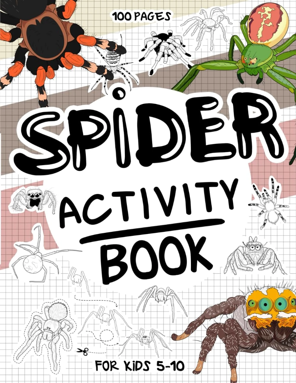 Spider Activity Book for Kids