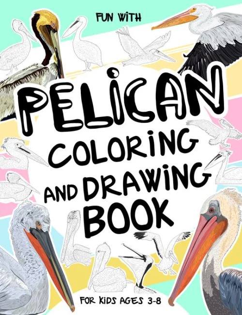 Pelican Coloring and Drawing Book for Kids
