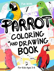 parrot colouring and drawing book for kids