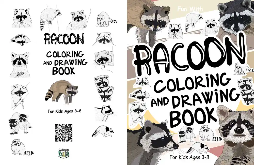 raccoon coloring book for kids