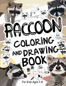 raccoon coloring drawing book kids