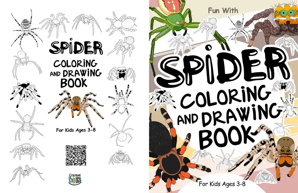 spider coloring book for kids