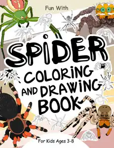 spider coloring book for kids