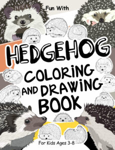 hedgehog coloring drawing book cover