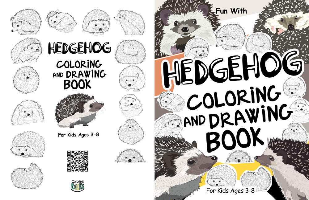 hedgehog coloring drawing book interior