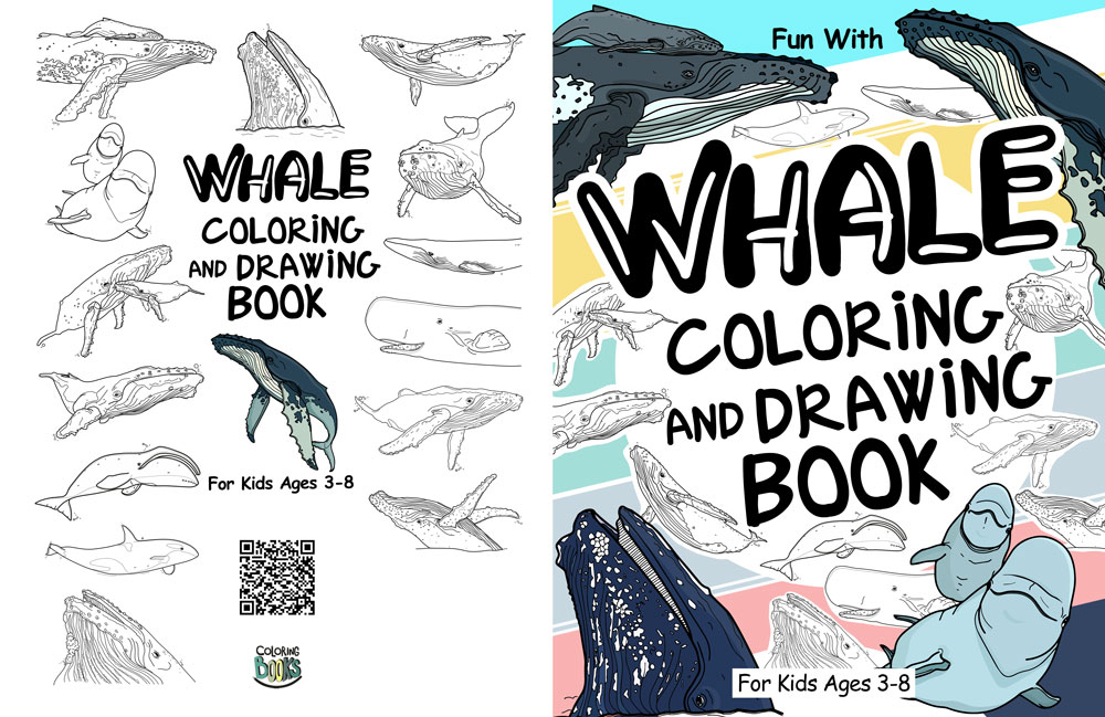 whale colouring book and drawing