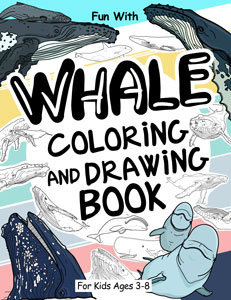 whale coloring book and drawing