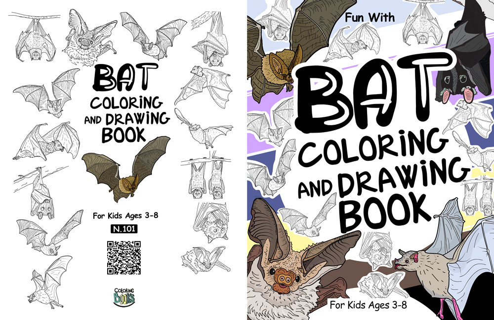 bat coloring and drawing book