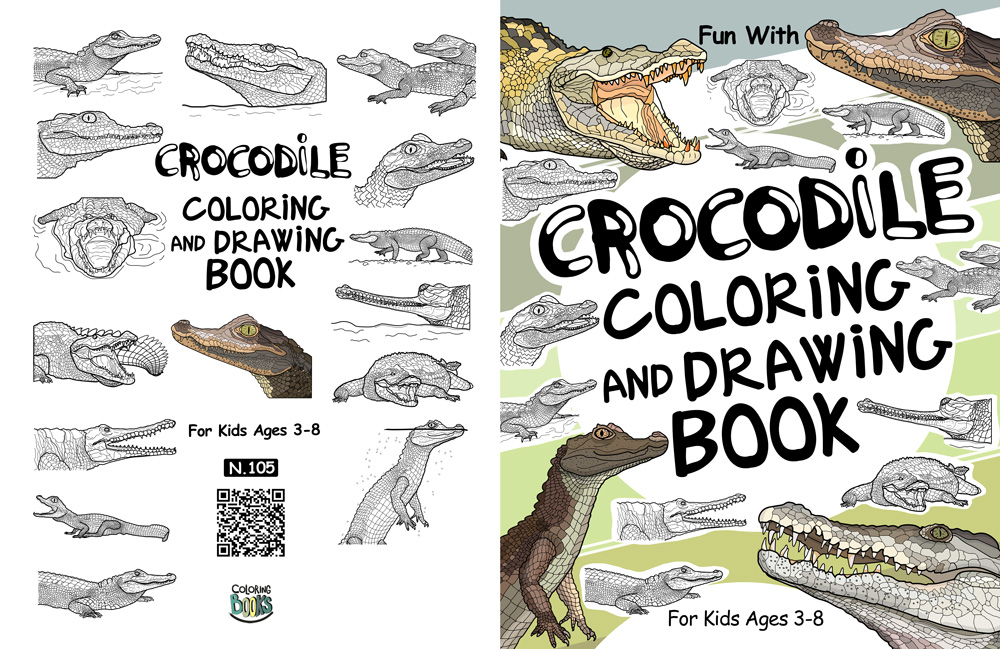 crocodile coloring and drawing book