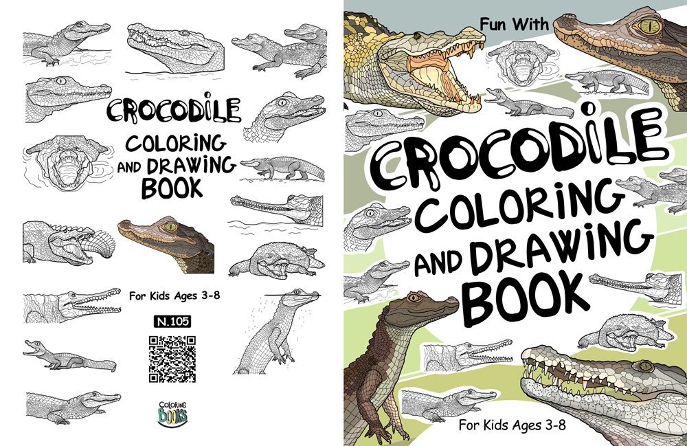 Crocodile coloring and Drawing book interior