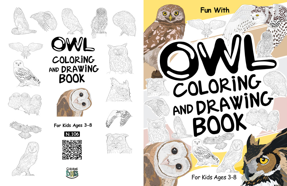 owl coloring and drawing book
