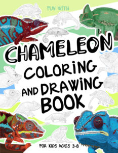 chameleon color drawing book for kids cover