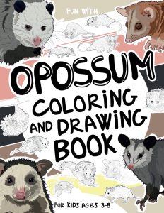 opossum coloring book for kids